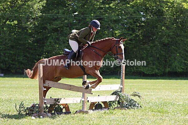 IMG_4584 - Working Hunter