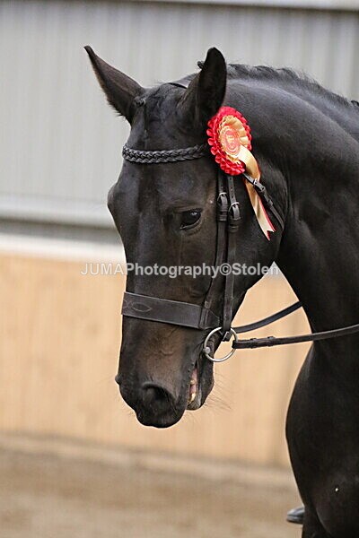 SIAL2759 - Sunday 14th Ridden