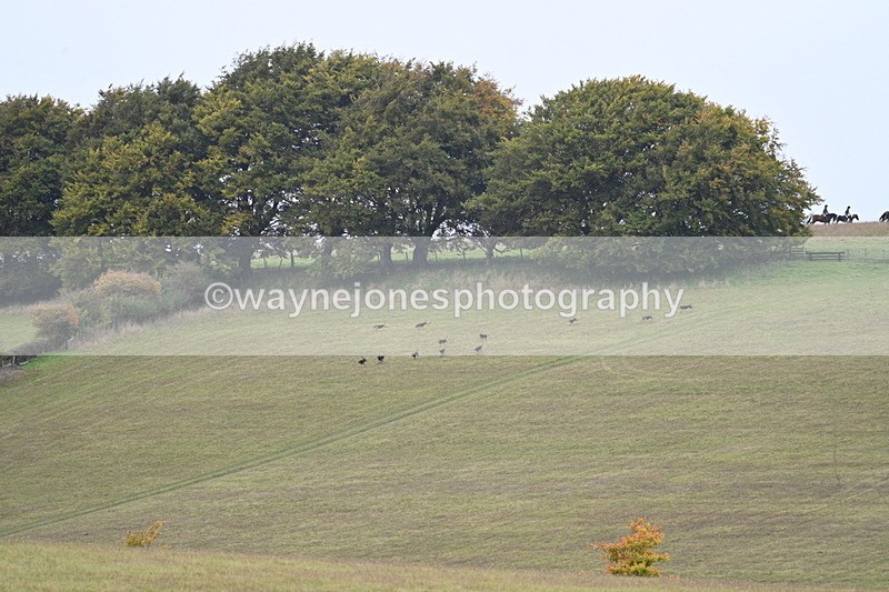 WJ7_4000 - Camera 1 Line 2