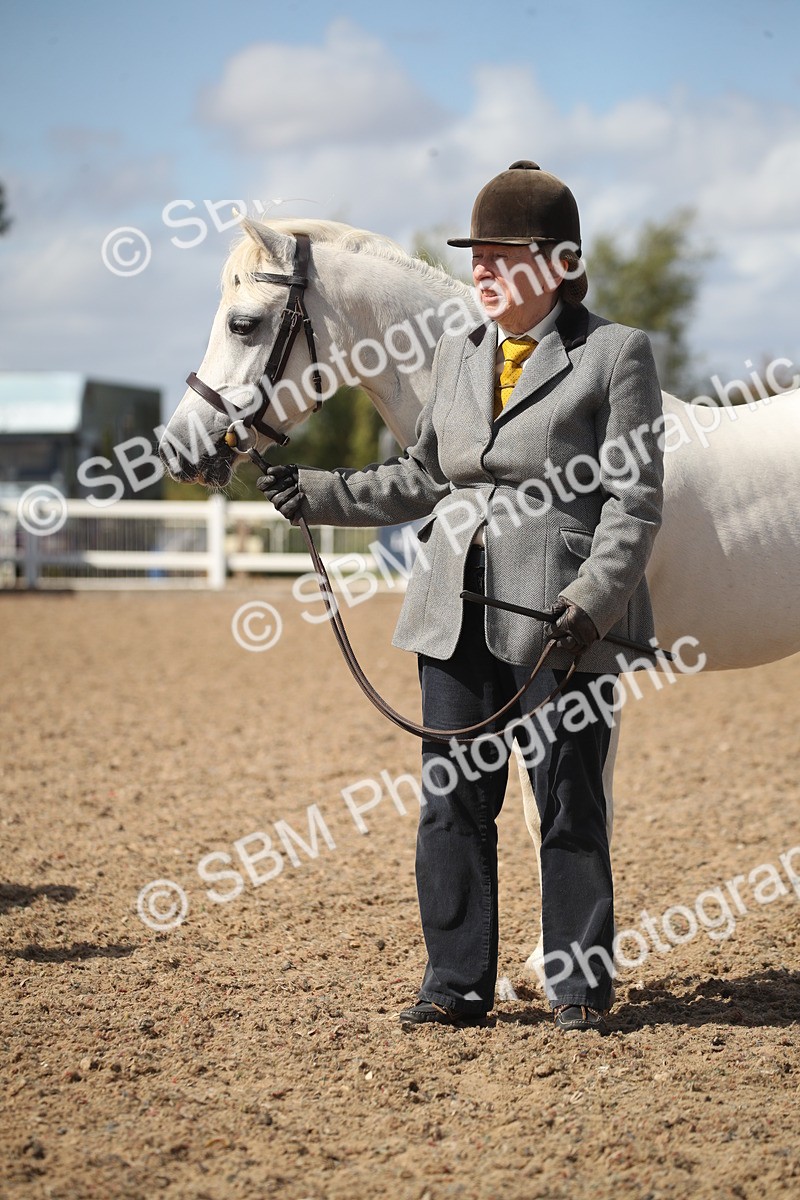 SBM_23566 - Class 605 - 2026 - Area - IH Veteran