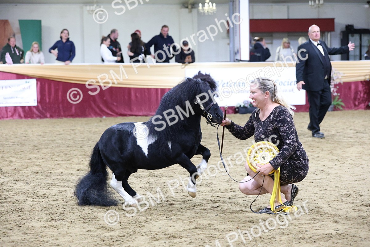 SBM_21621 - Class V - Champion of Champions