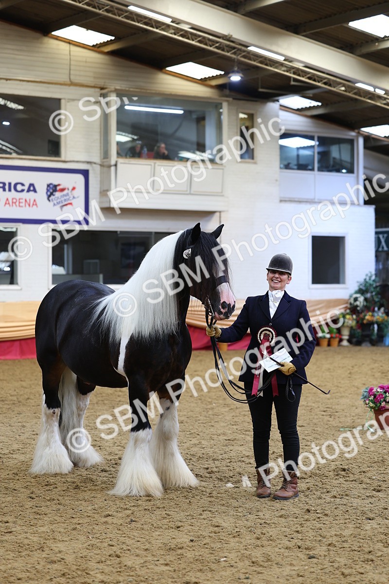 SBM_23023 - Class 903 - Supreme Final - IH Pre Vet