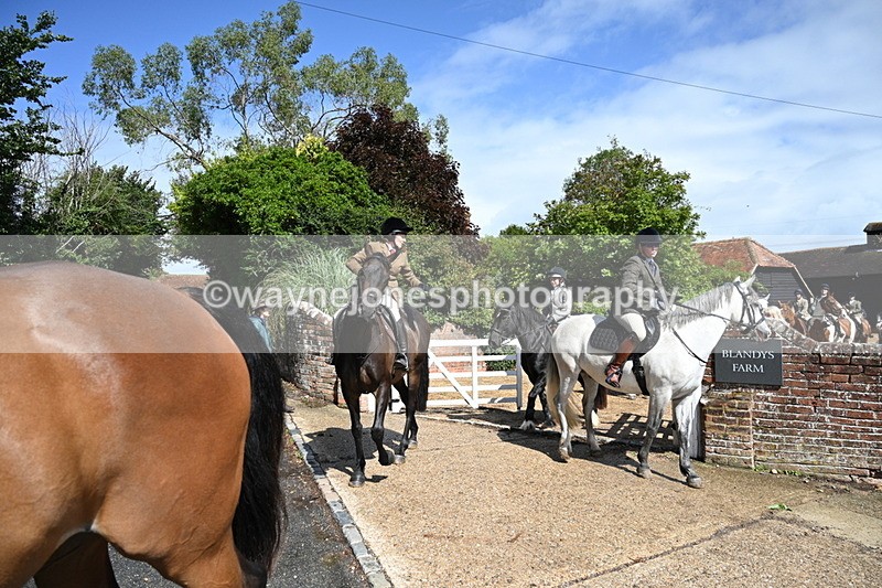 WJ7_7192 - Berks & Bucks at Blandy’s Farm 31-08-25