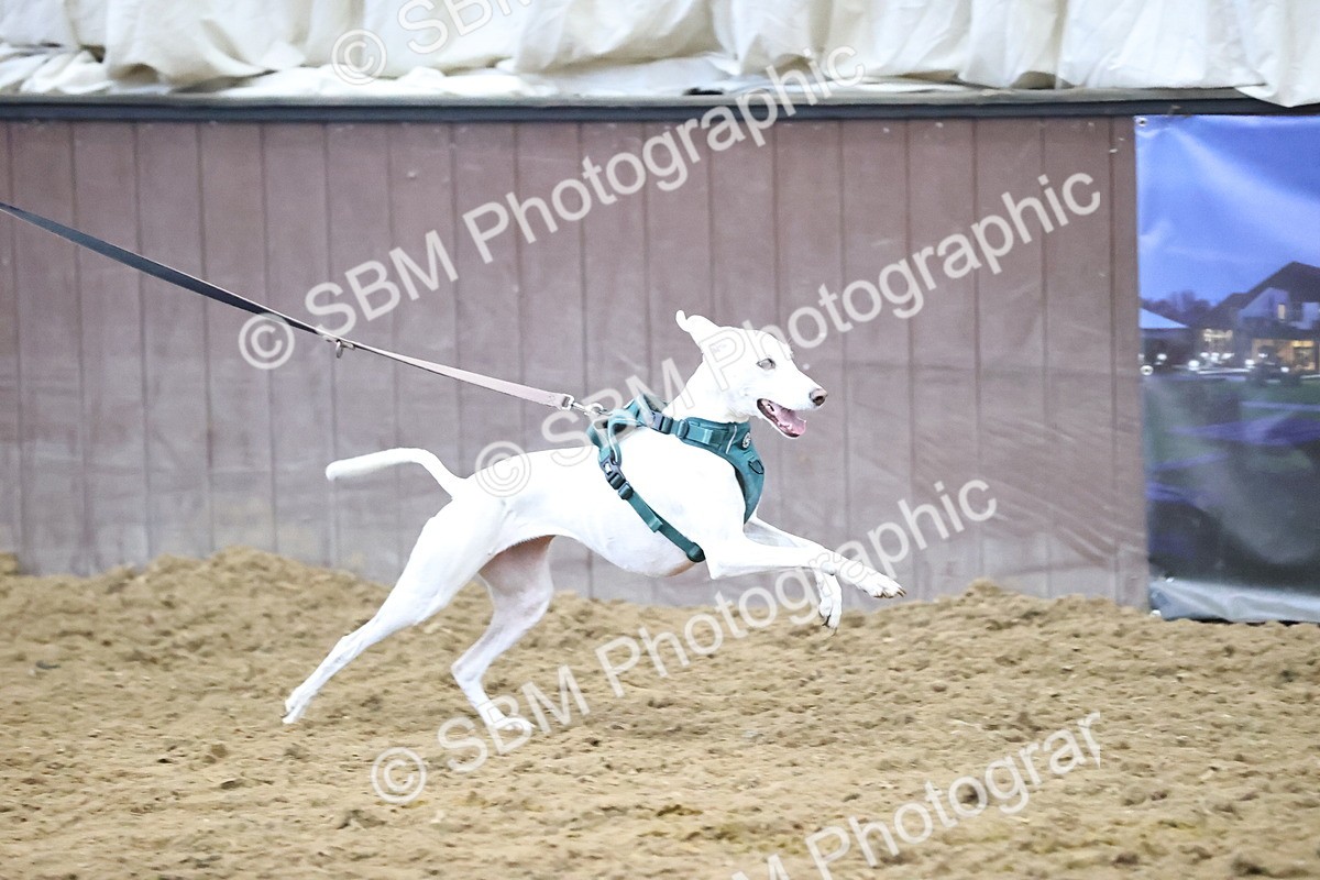 SBM_001331 - Class 3 - Horse & Hound 60cm