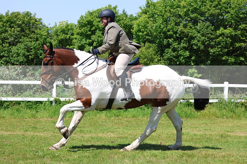 3E7A7277 - Class 30: Novice Working Hunter