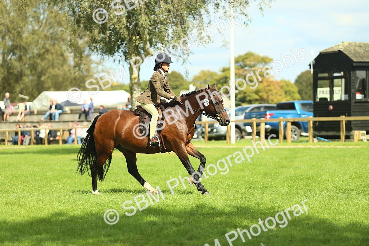 SBM_44587 - S31 - Working Hunter Pony
