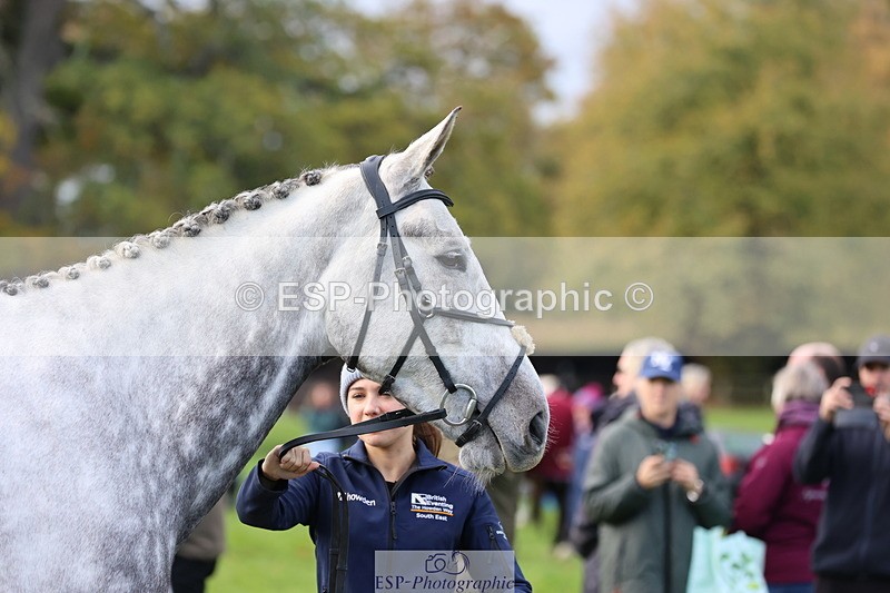 251026A-102814-23013 - E-382-Yasmin.Meredith
