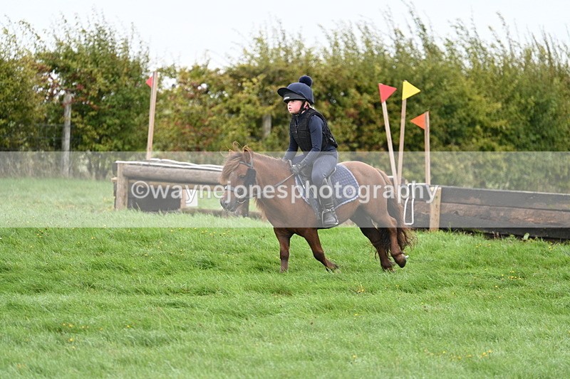 WJ7_7634 - Time 10:05 to 10:30  (3 cameras)