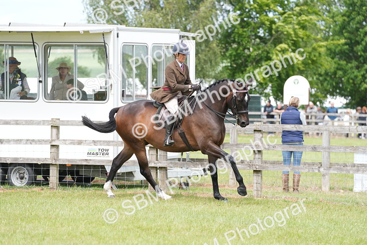 SBM_16240 - Class 105-106 - RIHS Riding Horses