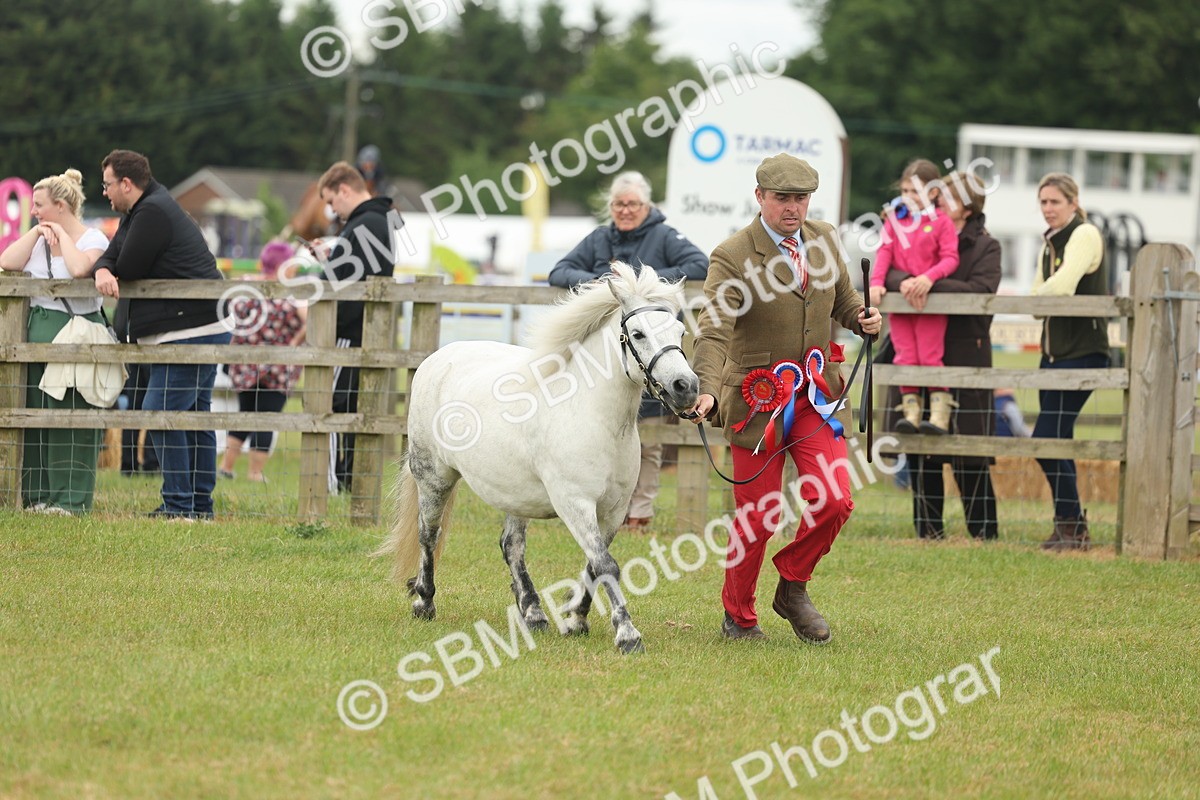 SBM_05040 - Class 50-57 - M&M Welsh Pony In Hand