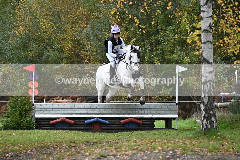 WJ7_2917 - 90cm Cam 2 Water Time 13:29 to 13:47