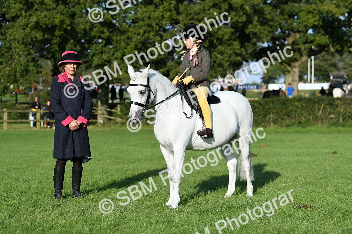 SBM_52415 - S22 - 1st Ridden Show & Show Hunter Pony