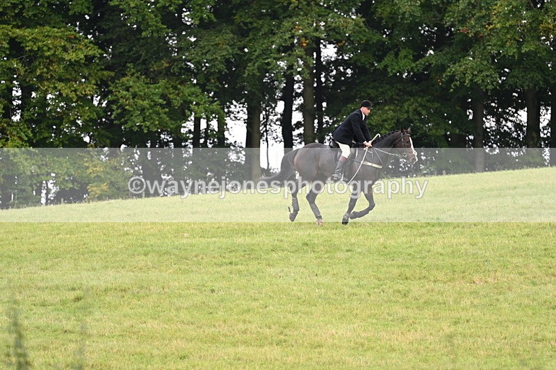 WJ7_4039 - Camera 1 Line 2