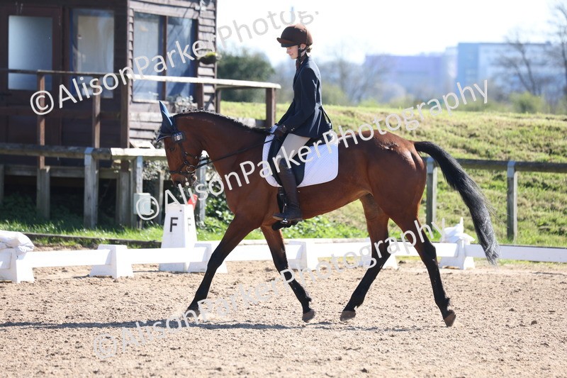 20260318-0496 - Class 5 - Novice 2