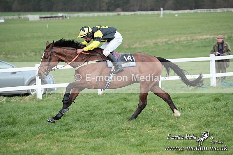 PtP 230324 893 - Tedworth Hunt PtP Larkhill Raccourse 23rd March 2024