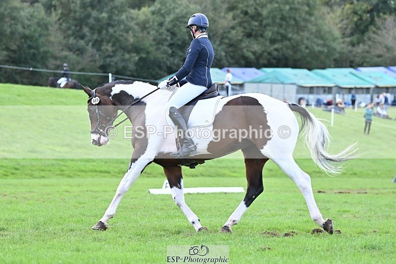 231020-145157-11005 - 669-FOXRIDGE.HIGH.JINX-Claire.Deuten-DR