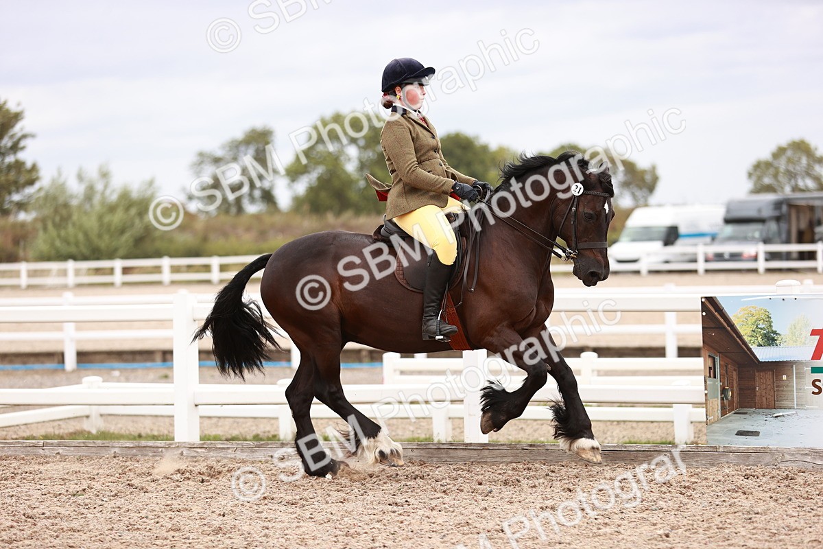 SBM_18968 - Class 422 - Ridden M&M