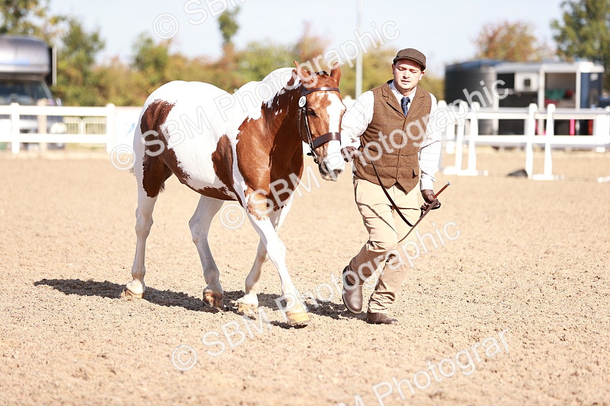 SBM_22076 - Class 703 - IH Coloured