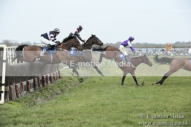 PtP 230319 193 - VWH Hunt Siddington Point-to-Point Racing 23/03/19