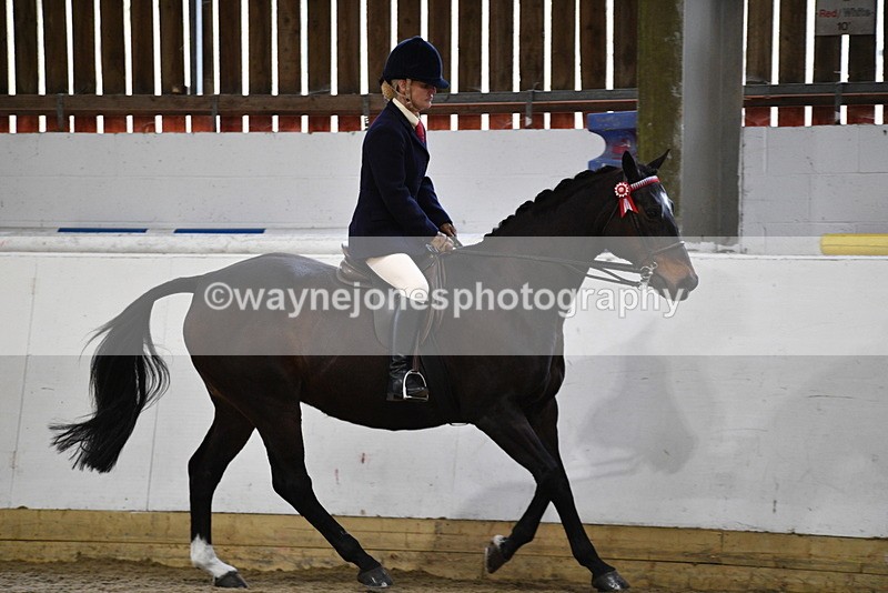 WJ5_7859 - Class 13 Ridden Part Breed
