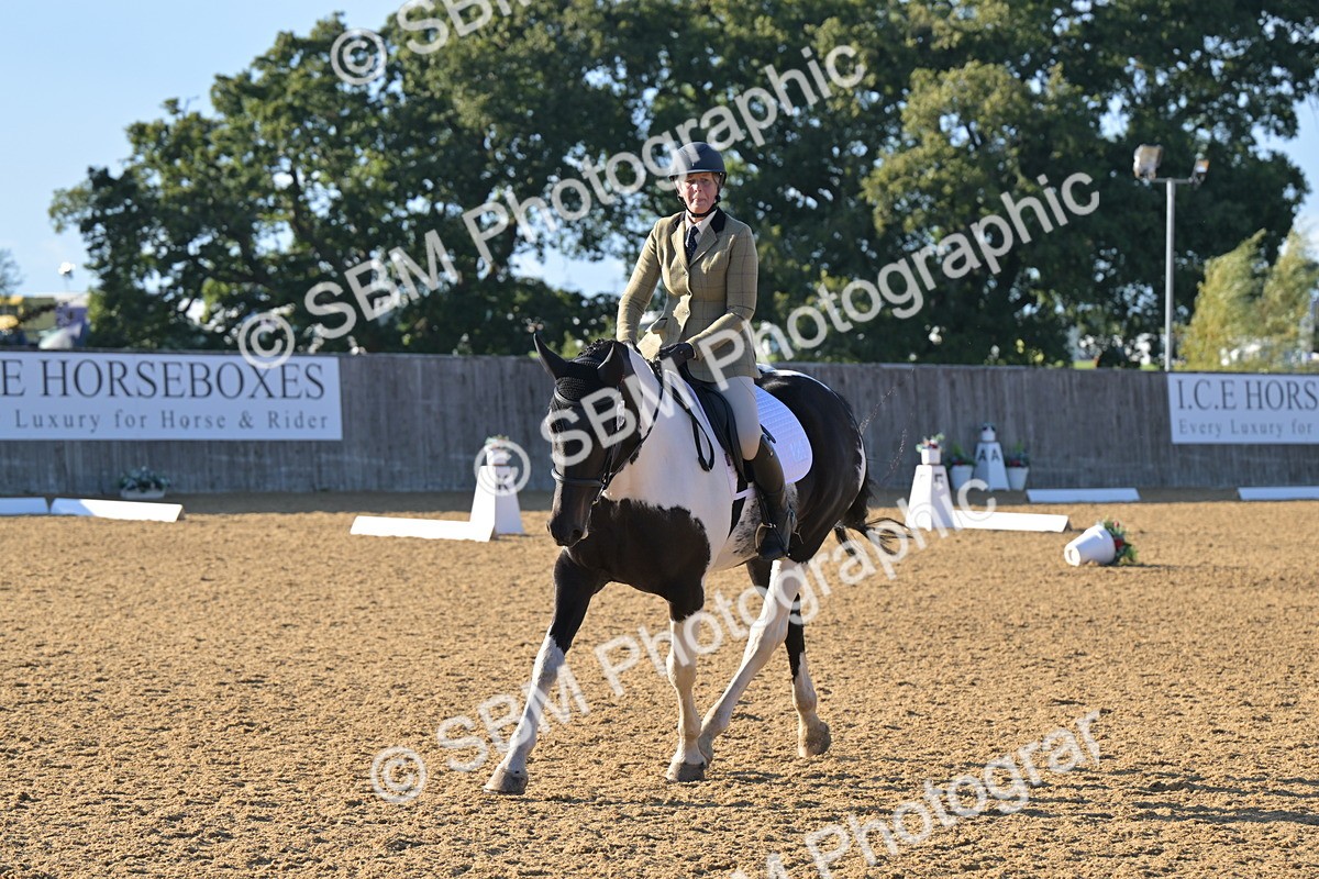 SBM_13073 - D3 - Small Tour Championship Intro 3