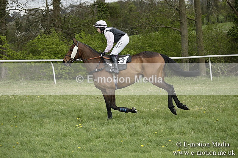 PtP 170417 133 - Old Berks Point-to-Point Lockinge 17/04/17