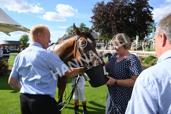 yr09072022r7-40 - Race 7 5.15pm John Smith's Sprint Stakes