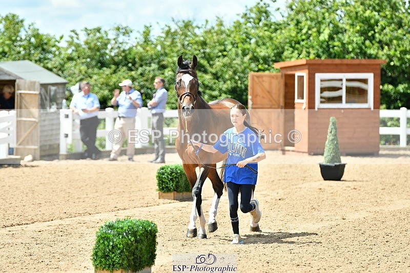 230719A-130753-00282 - Trot Up 1pm to 2pm
