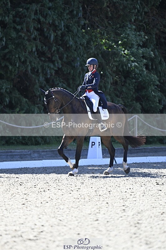 250522A-101417-02652 - B-310-Kitty.King-LISCARROW.FERNHILL