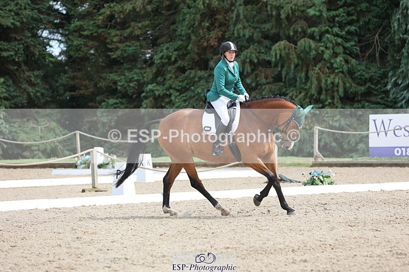 250718A-153028-02587 - 152-Tracy.OKennedy-Wylye.Harlequin