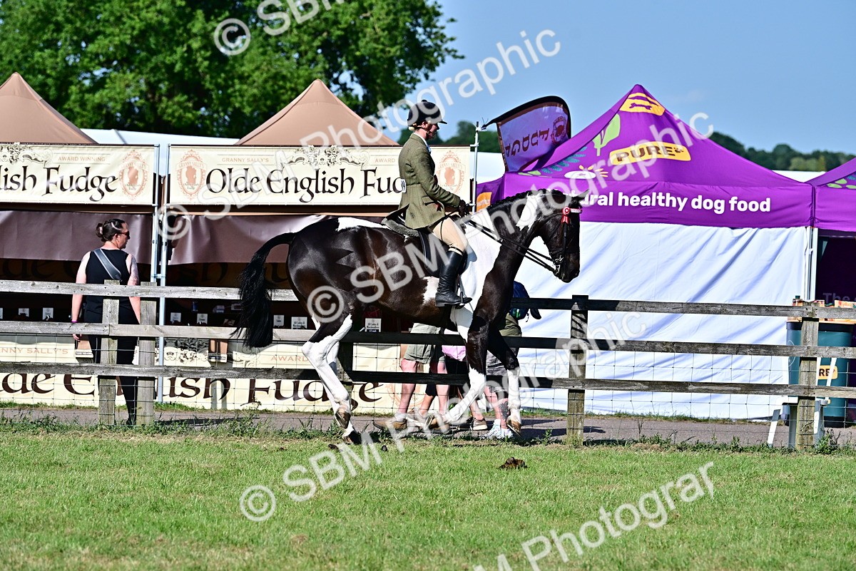 SBM_19566 - Class 101-102 - BSPS LIHS Performance Coloured Horse/Pony