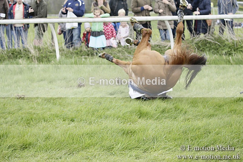 PtP 170417 42 - Old Berks Point-to-Point Lockinge 17/04/17