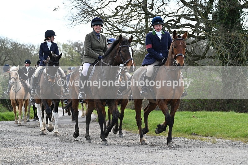 WJ7_9830 - Walk Home