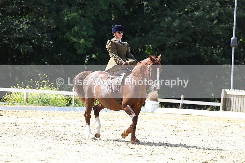 3E7A3539 - Class 7:  Preliminary Music