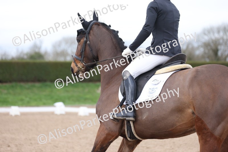 20260301-0256 - Class 3 - Novice 4