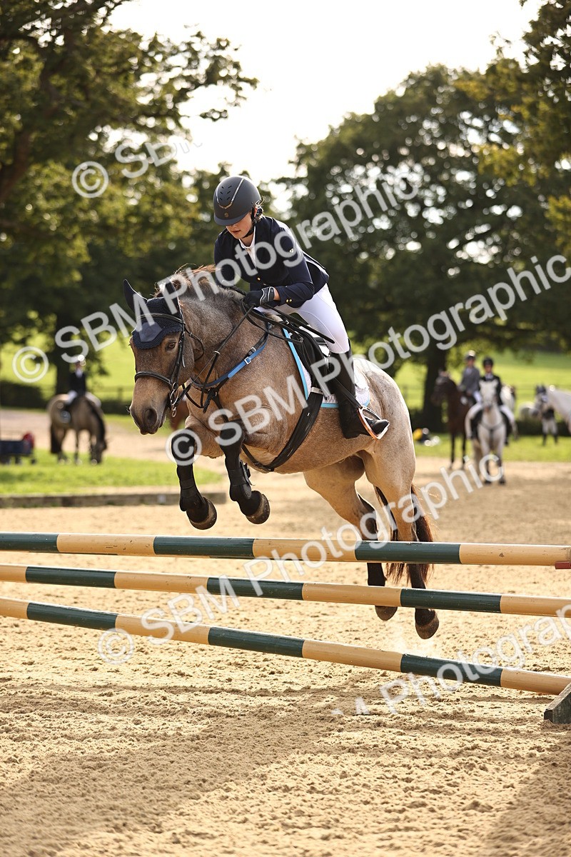 SBM_52776 - J10 - Junior Pony 75cm Championship