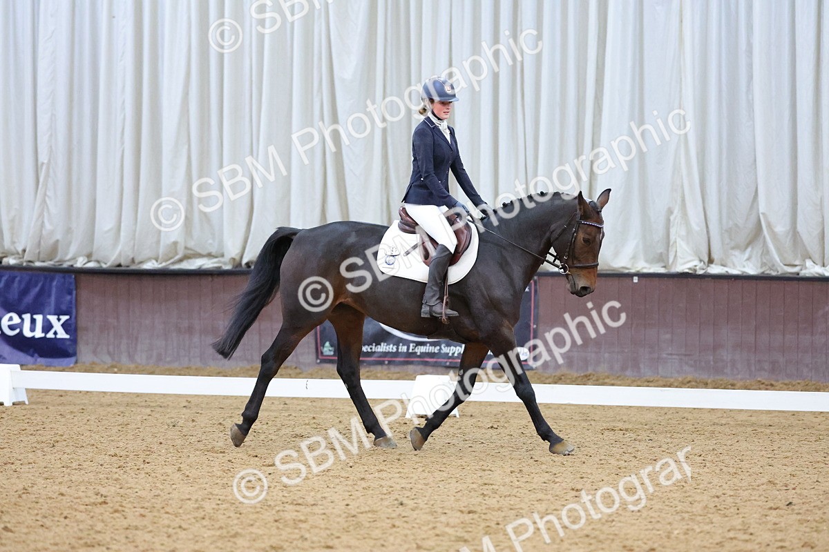 SBM_004220 - Intermediate