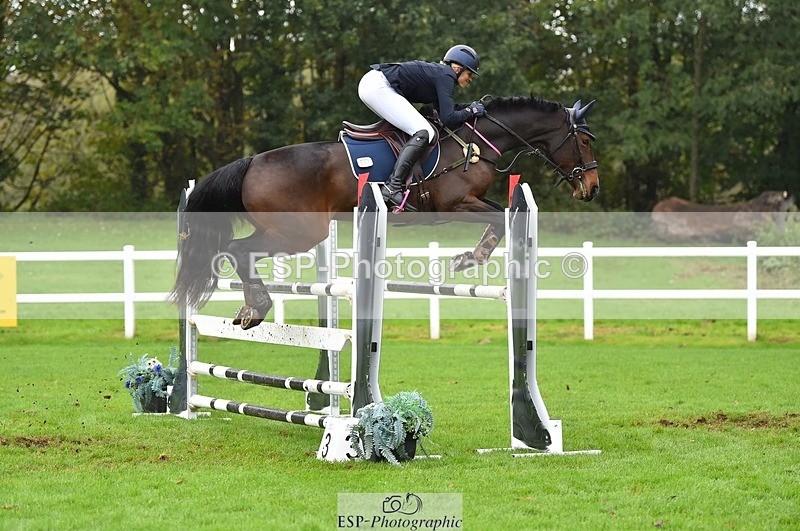 231021-122058-16507 - 057-OVERTON.TILANA'S.GOLD-Claire.Deuten-SJ