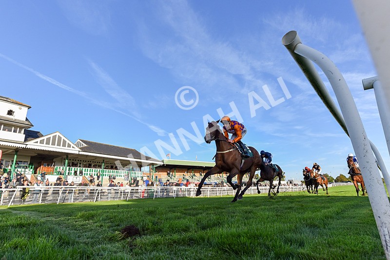 300926-Race 7-Prince Of Calypso-7884 - Race 7 5.25pm Amstel Gallop Handicap