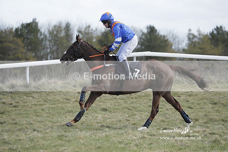 PtP 260223 552 - South & West Wilts Point-to-Point Larkhill 26/02/23