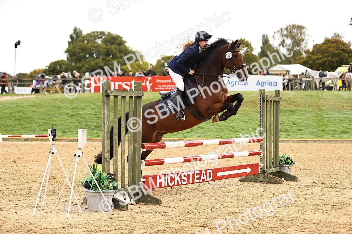 SBM_58495 - J41 - Grand Tour Horse & Pony 95cm