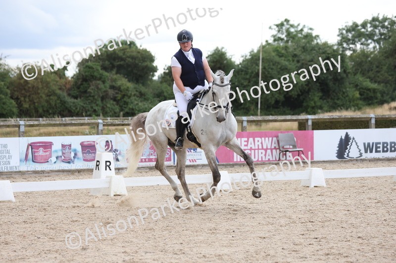 20250706-0453 - Class 17 - Elementary 5