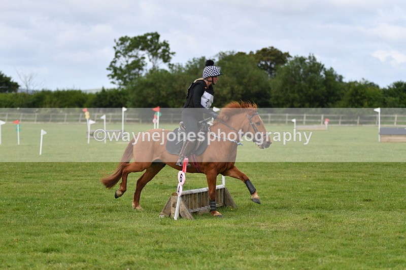 WJ5_2272 - Class 2 40cm