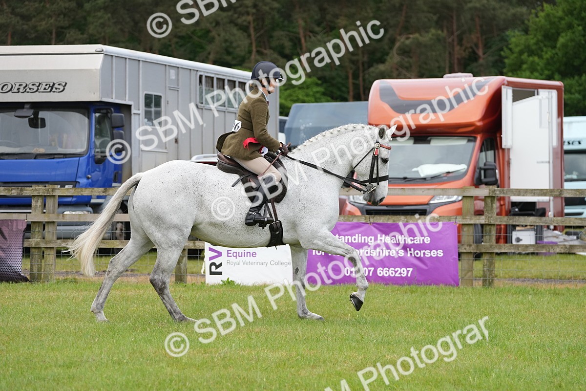 SBM_12863 - Class 97-98 - LIHS BSHA Rising Star Working Show Horse Hunter