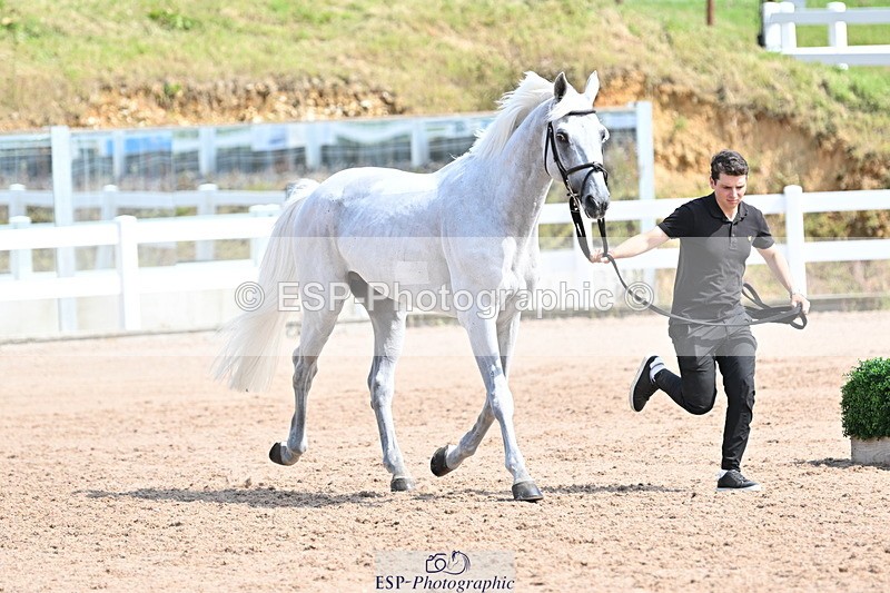 240717A-153955-02956 - Trot Up 3pm to 4pm