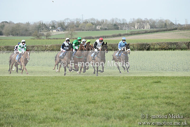 PtP 230319 414 - VWH Hunt Siddington Point-to-Point Racing 23/03/19