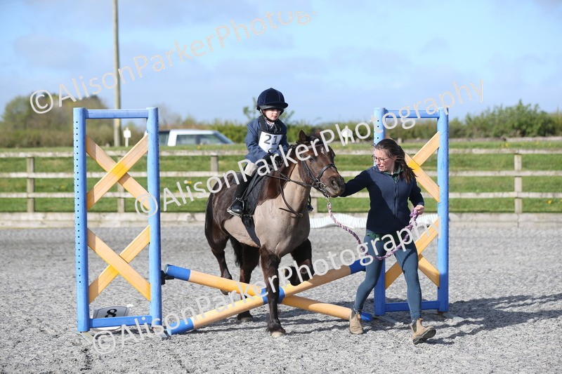20260412-0042 - Show Jumping