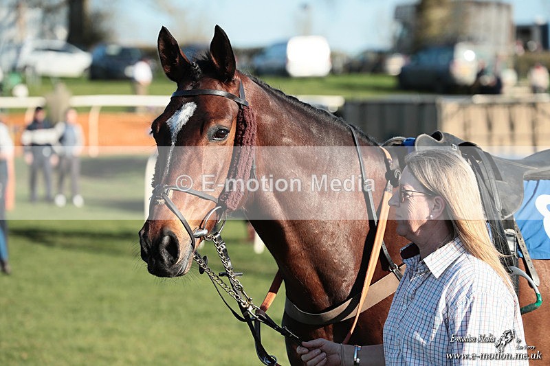 PtP 210326 1168 - VWH Cirencester Races 21/03/26