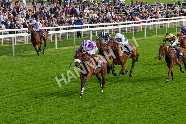 150524-Race 4-Secret Satire-4223 - Race 4 3.45pm Tattersalls Musidora Stakes