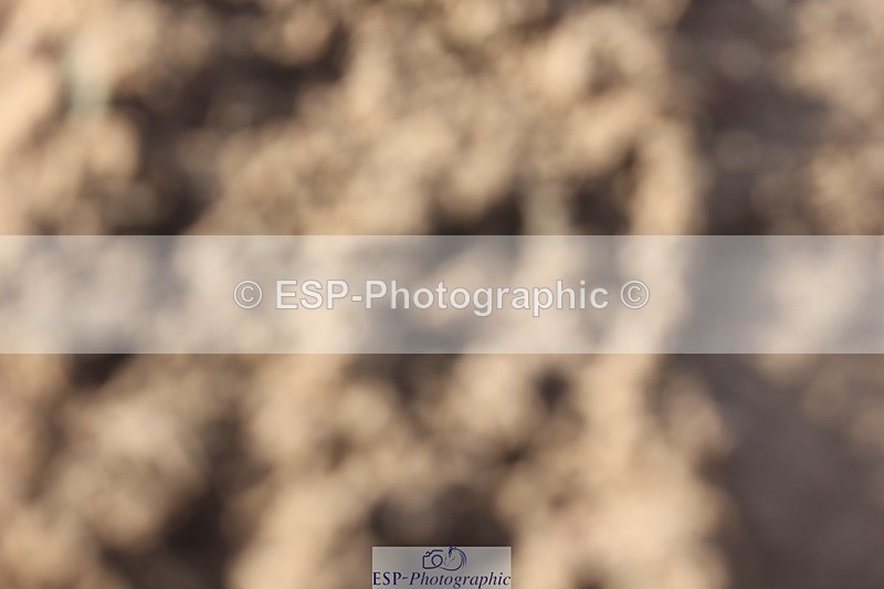 241201X-121055-01016 - Classes 06-09 Jnr 110-115-120-125